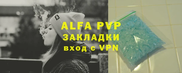 дживик Белокуриха