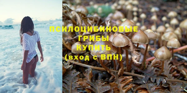 дживик Белокуриха