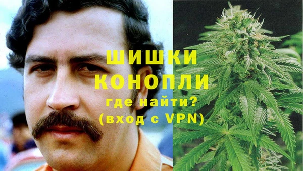 дживик Белокуриха