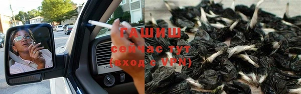 дживик Белокуриха