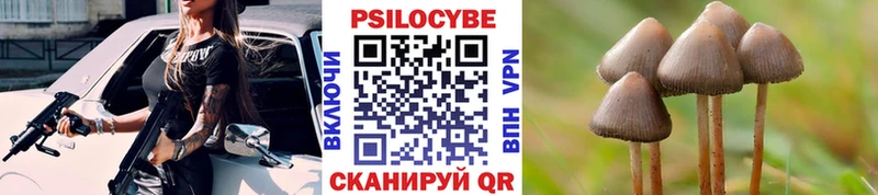 Псилоцибиновые грибы ЛСД  сколько стоит  Челябинск 